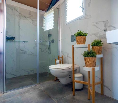 ein Badezimmer mit Toilette und Glasdusche in der Unterkunft Tenty on the Cliff - Metzoke Dragot in Metsoke Dragot