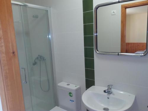 uma casa de banho com um chuveiro, um lavatório e um espelho. em villa Garibaldi em Agüero