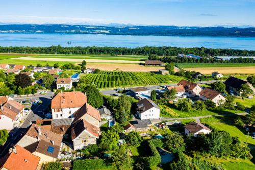 una vista aérea de una pequeña localidad con casas y viñedos en Hôtel Restaurant Bellevue en Onnens