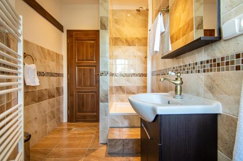 a bathroom with a sink and a shower at Penzion Zlaté Slunce in Chocenice