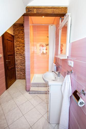 a bathroom with a sink and a shower at Penzion Zlaté Slunce in Chocenice