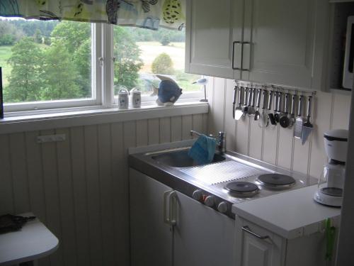 a kitchen with a sink and a window at Backgårdens Turism & Kultur in Backgarden