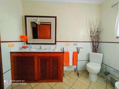 a bathroom with a sink and a toilet and a mirror at Ca na Maria in Manacor
