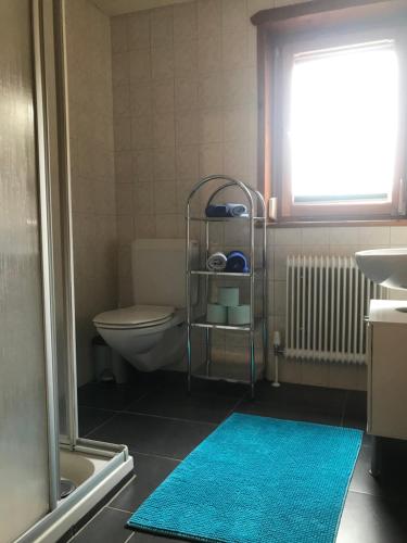 baño con aseo y alfombra azul en Haus Elvira en Klösterle am Arlberg