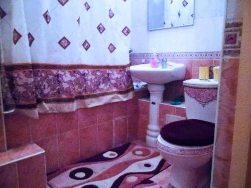 ein Bad mit einem WC und einem Waschbecken in der Unterkunft Paradise Apartment in Bischkek