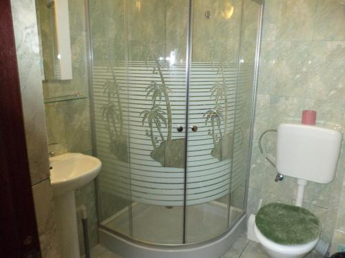 クリシャンにあるPensiunea Ancaのバスルーム(シャワー、トイレ、洗面台付)