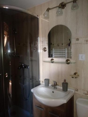 a bathroom with a sink and a shower and a mirror at Pokoje ,,Goramiba''Jurgów in Jurgów