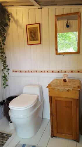 Koupelna v ubytování Hiking Cabin