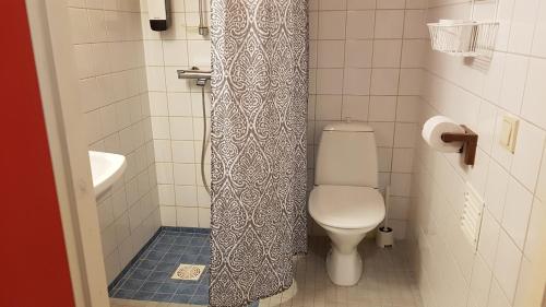 a bathroom with a toilet and a shower curtain at Hotel Seita in Äkäslompolo