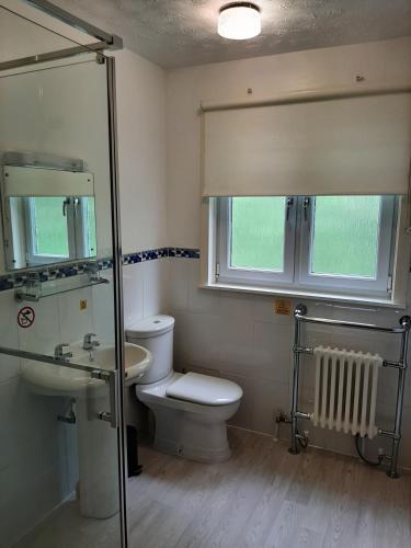 ein Badezimmer mit Toilette, Waschbecken und Fenster in der Unterkunft Laggan Hotel in Laggan