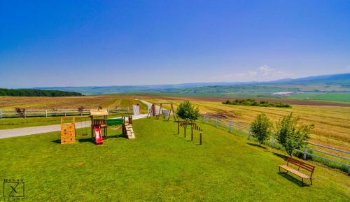 a playground in the middle of a grassy field at Pensiunea Casa Buna in Gîrbova