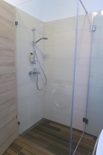 een badkamer met een douche en een glazen deur bij Port Apartman Siófok in Siófok