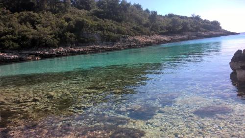 Fotografie z fotogalerie ubytování Planika Apartments 2 v destinaci Korčula