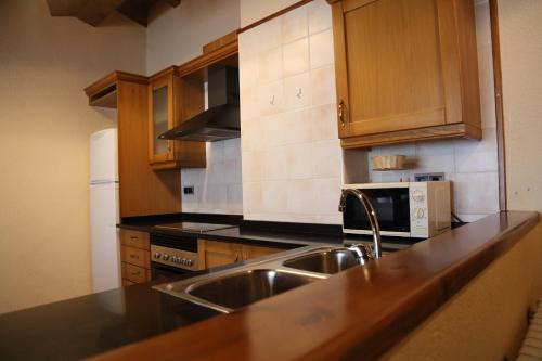 a kitchen with a sink and a microwave at Paller Cal Cintet in Aristot