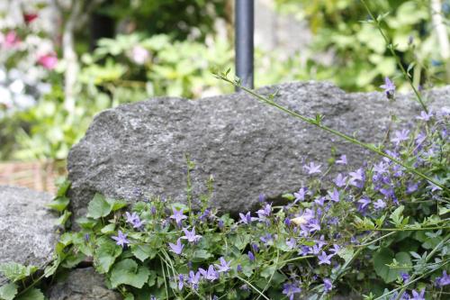 a garden with purple flowers and a rock at B&B Casa Gori in Madice