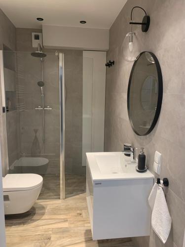bagno con lavandino, servizi igienici e specchio di Centropolis 41 a Toruń