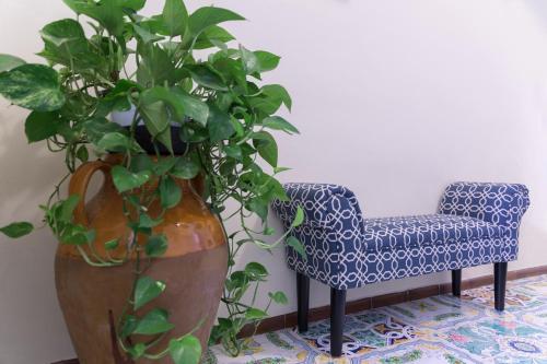 a plant in a vase next to a chair at HOTEL ZI'NTONIO in Scala