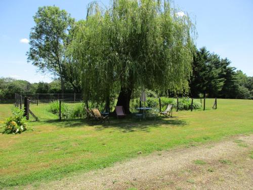 a picnic table under a tree in a field at La Closerie in Saint-Nizier-le-Bouchoux