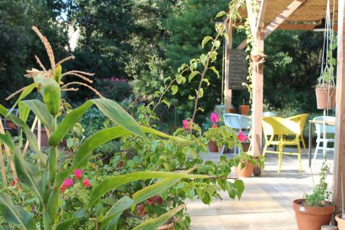 un jardin avec des plantes en pot, des tables et des chaises dans l'établissement GinKgo, à Marseille
