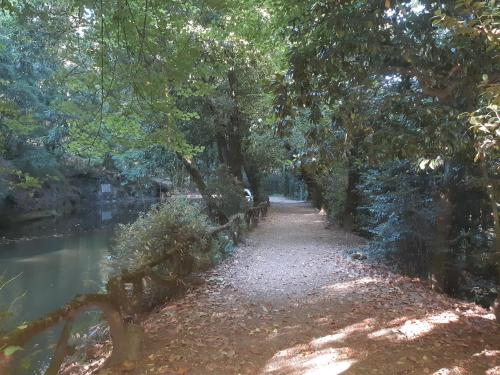 a walking path next to a river with trees at Hotel do Parque in Braga