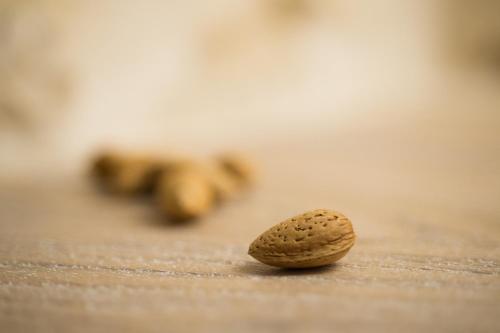 a close up of a peanut on a table at La Mandorla Luxury Trullo in Alberobello