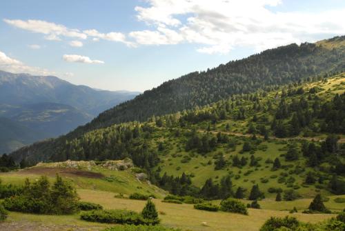 a view of a green hillside with trees at Paller Cal Cintet in Aristot