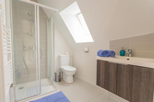 une salle de bain avec une douche, des toilettes et un lavabo dans l'établissement LA PETITE PRESQU'ILE, à Locoal-Mendon