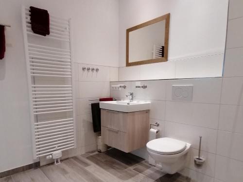 uma casa de banho com um WC, um lavatório e um espelho. em Jogis Ferienwohnungen em Friburgo em Brisgóvia