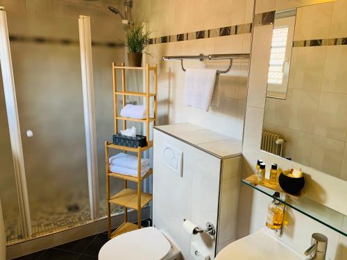 a bathroom with a toilet and a shower at Hôtel L'Auberge Alsacienne in Eguisheim