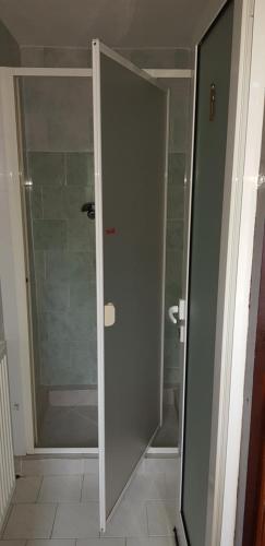 a shower with a glass door in a bathroom at Complex Turistic Caprioara in Baia Mare