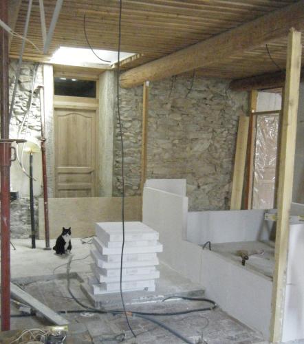 Un chat noir et blanc assis au milieu d'une pièce dans l'établissement L'itinérante, à Le Somail