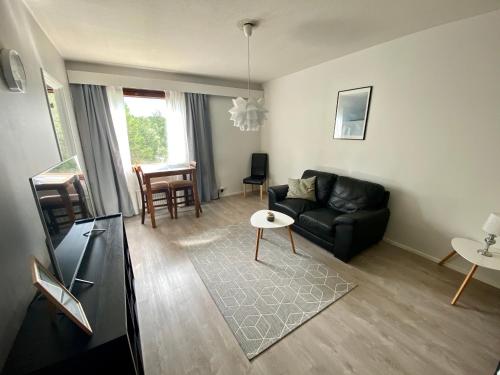 a living room with a black couch and a table at Cosy studio apartment - perfect for your stay in Rovaniemi! in Rovaniemi