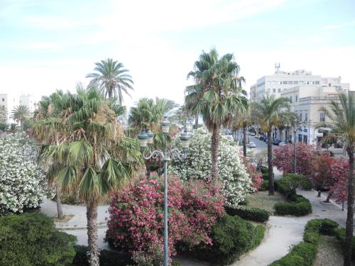 A garden outside Venticello di mare
