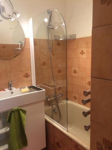 une salle de bain avec douche et lavabo dans l'établissement Studio Dragon avec gardien, à Marseille