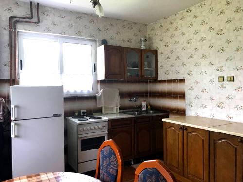Küche/Küchenzeile in der Unterkunft Apartments KRAJA