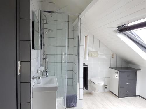 a bathroom with a shower and a sink and a toilet at ANNO 1919 in Swalmen