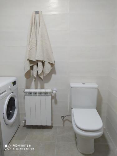 a bathroom with a toilet and a washing machine at Piso de alquiler en Tapia de Casariego in Tapia de Casariego