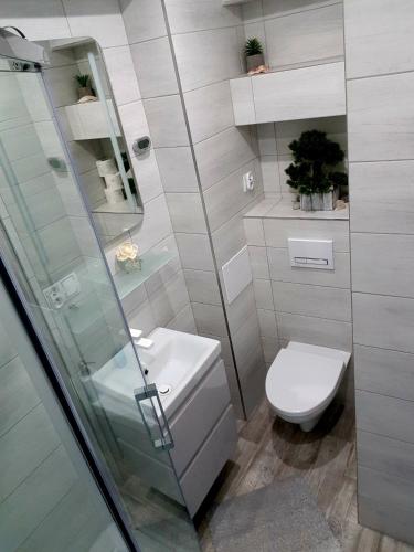 a bathroom with a toilet and a glass shower at Apartament WAGABUNDA in Wałbrzych
