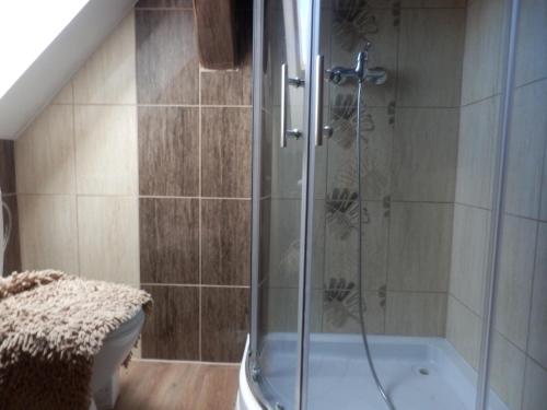 um chuveiro com uma porta de vidro na casa de banho em Zámeček Zdíky - Knížecí apartmán em Bujanov