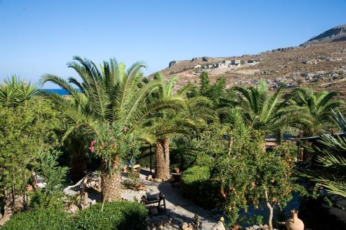 a bunch of palm trees in a garden at Yiannis Retreat in Káto Zákros