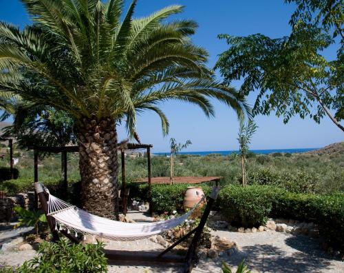 a hammock in front of a palm tree at Yiannis Retreat in Káto Zákros