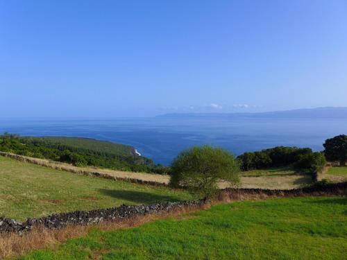 a field of grass with the ocean in the background at Areias da Prainha in Prainha de Cima