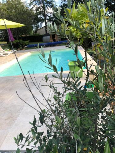 Πισίνα στο ή κοντά στο Les plantous de Severo