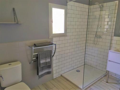 une salle de bain avec toilettes et douche en verre dans l'établissement Domaine Le Moulin Neuf, à Saint-Quentin-la-Poterie