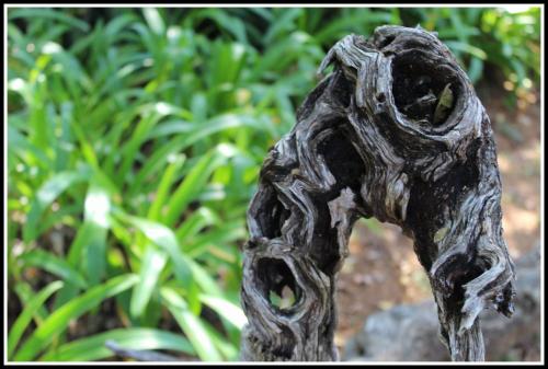 a statue of a head in front of some plants at Jock of the Bushveld in Barberton
