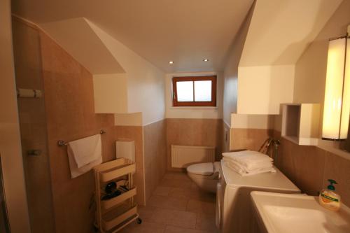 a small bathroom with a toilet and a sink at Familienappartements Eder - Free entry to Tauern SPA Kaprun included in Kaprun
