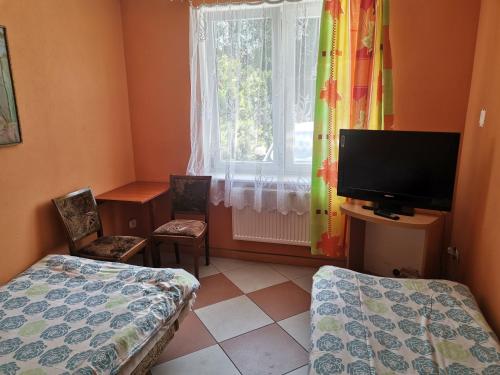 ミエルノにあるU Pajączkaのベッド、テレビ、窓が備わる客室です。