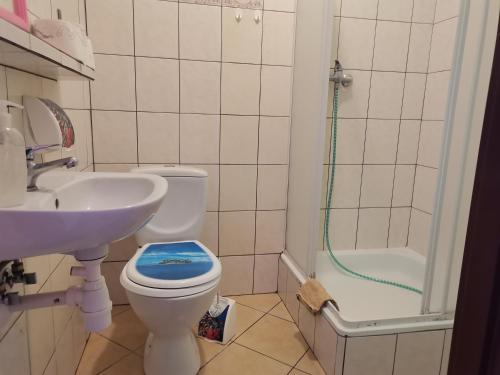 ミエルノにあるU Pajączkaのバスルーム(トイレ、洗面台、シャワー付)