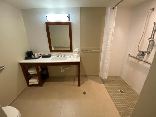 een badkamer met een wastafel, een spiegel en een douche bij Comfort Suites Midland West in Midland