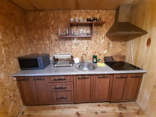 a kitchen with a sink and a microwave at Садиба Орисин Явір Orysyn Yavir in Svityazʼ